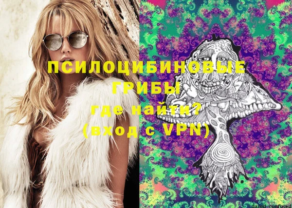 ПСИЛОЦИБИНОВЫЕ ГРИБЫ Алексеевка