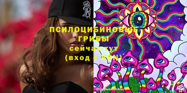 ПСИЛОЦИБИНОВЫЕ ГРИБЫ Алексеевка
