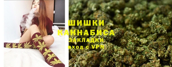 ПСИЛОЦИБИНОВЫЕ ГРИБЫ Алексеевка