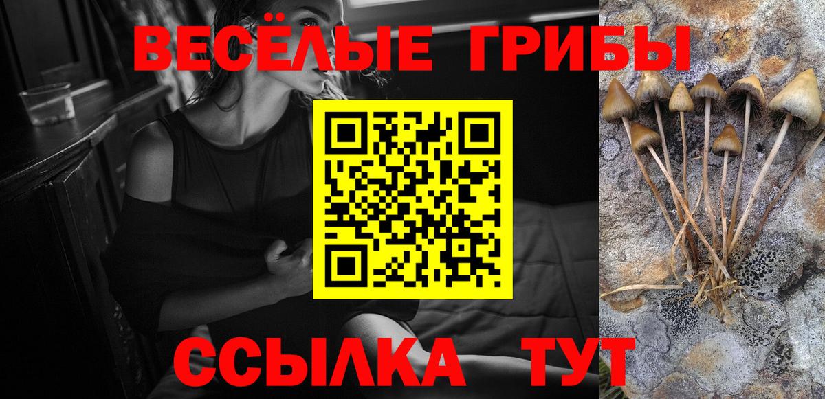 Псилоцибиновые грибы мицелий Шебекино