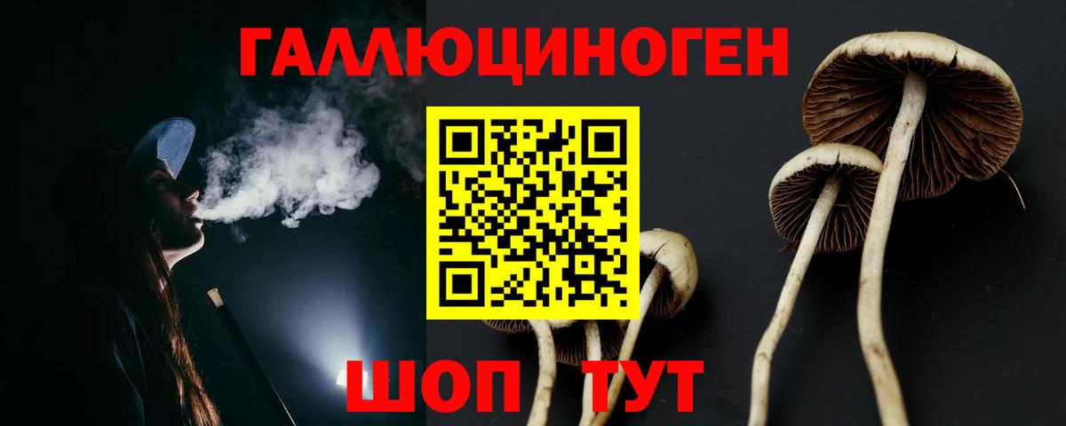 Галлюциногенные грибы Psilocybe  где купить наркоту  Шебекино  Вход с VPN 
